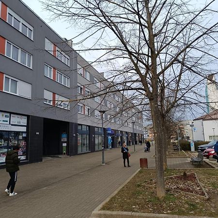 Pranjic Apartment Zaprešić 外观 照片